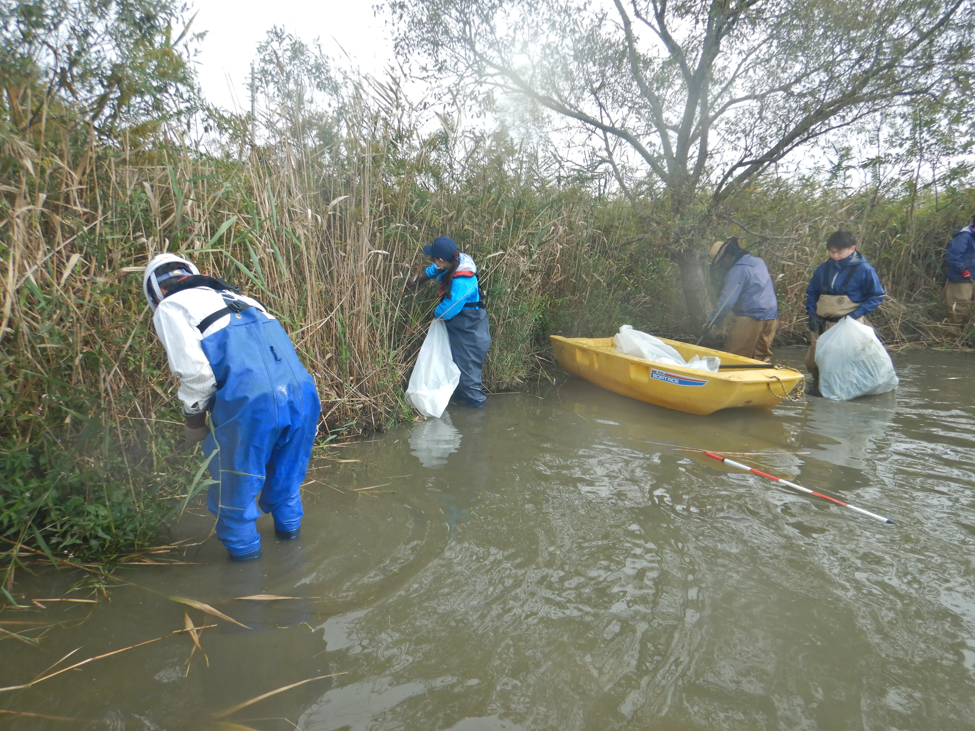 �쏜��Ƃ̗l�q