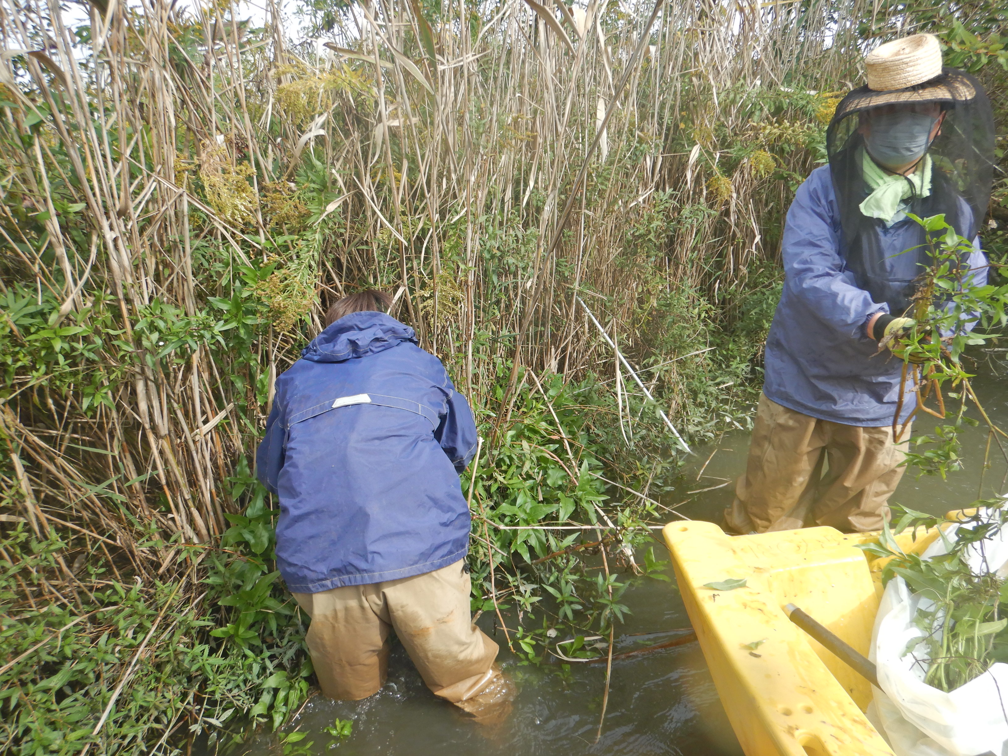 �쏜��Ƃ̗l�q