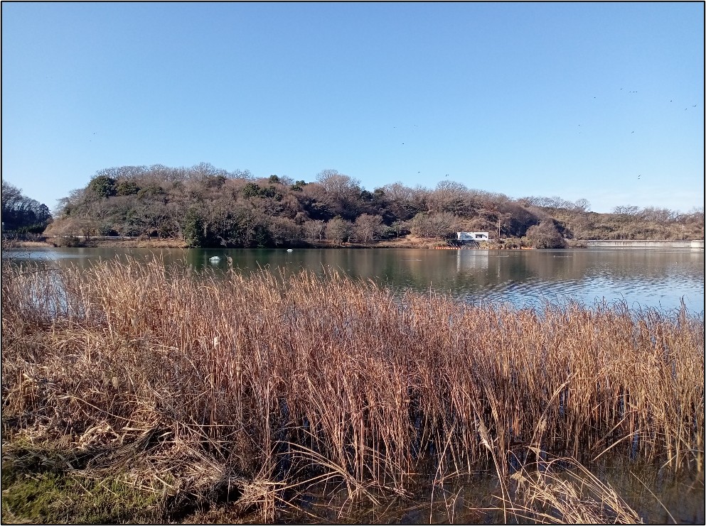 �����̗l�q